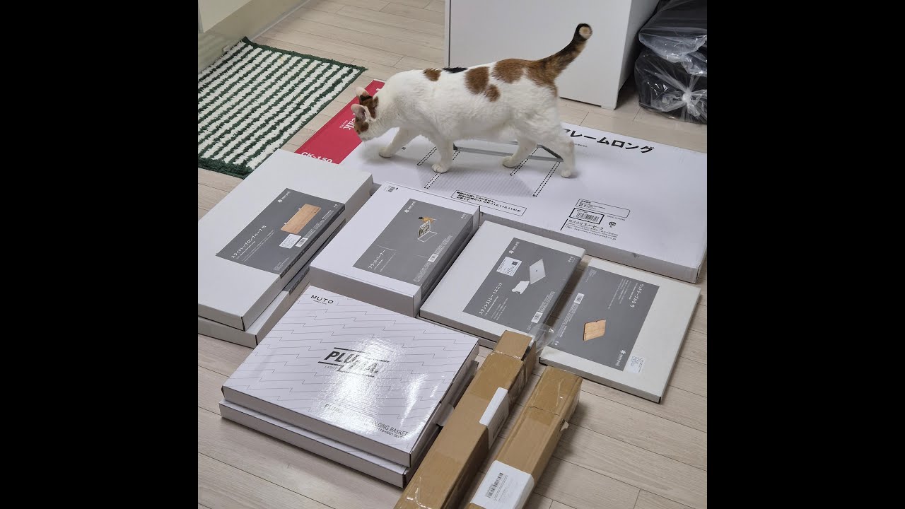 NEW 테이블 개봉｜스노우피크 IGT 입문합니다.