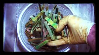 How to get gold from computer waste