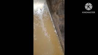 Rain Water