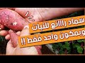أقوى ســماد طبيعي يحفز نمو النبات بشكل رهييب جدا بمكون واحد فقط سماد محلول قشور البطاطس