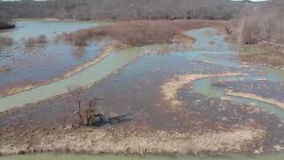 OBH-Salt Fork Area 55