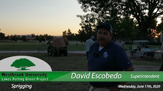 2020 Lakes Putting Green Project - Sprigging the Green