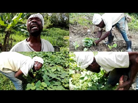 INSPIRATIONAL BLIND FARMER, MUSICIAN WITH AMAZING VOICE | 37 YRS FARMING & NAVIGATING ON HIS FARM
