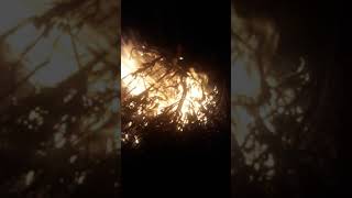 Musa Candan Süper Parça 《Şu Fıratın Suyu Akar Serindir》