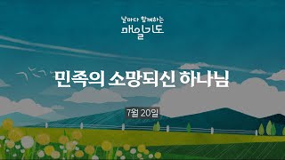 이미지