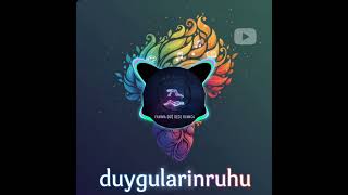 🎵 Duyguların Ruhu - Yanıma Düş Gece Olunca - Anadolu Rock / Psychedelic Seri
