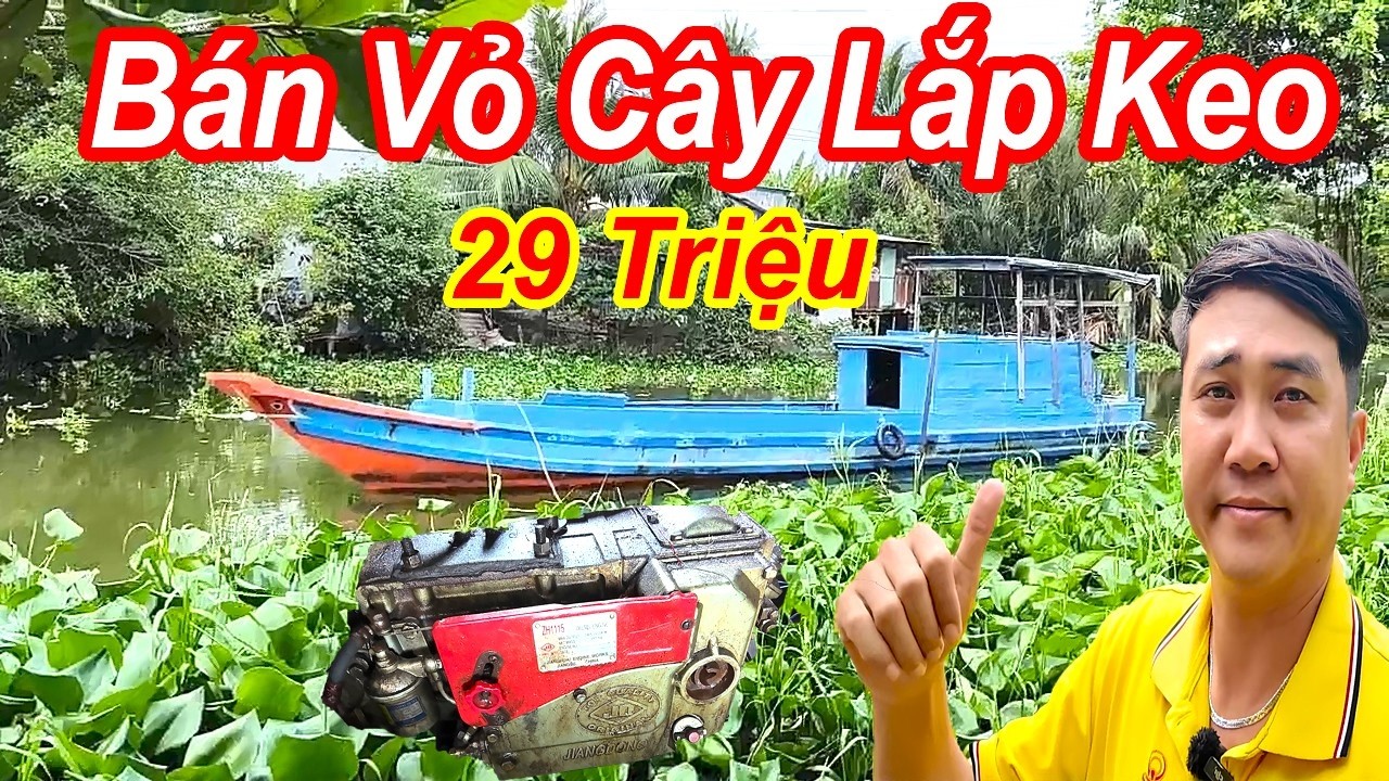 Bán Vỏ Cây Lắp Keo 29 Triệu || Có Thề Làm Nhiều Nghề Khác || Nhanh Tay Nào Anh Em