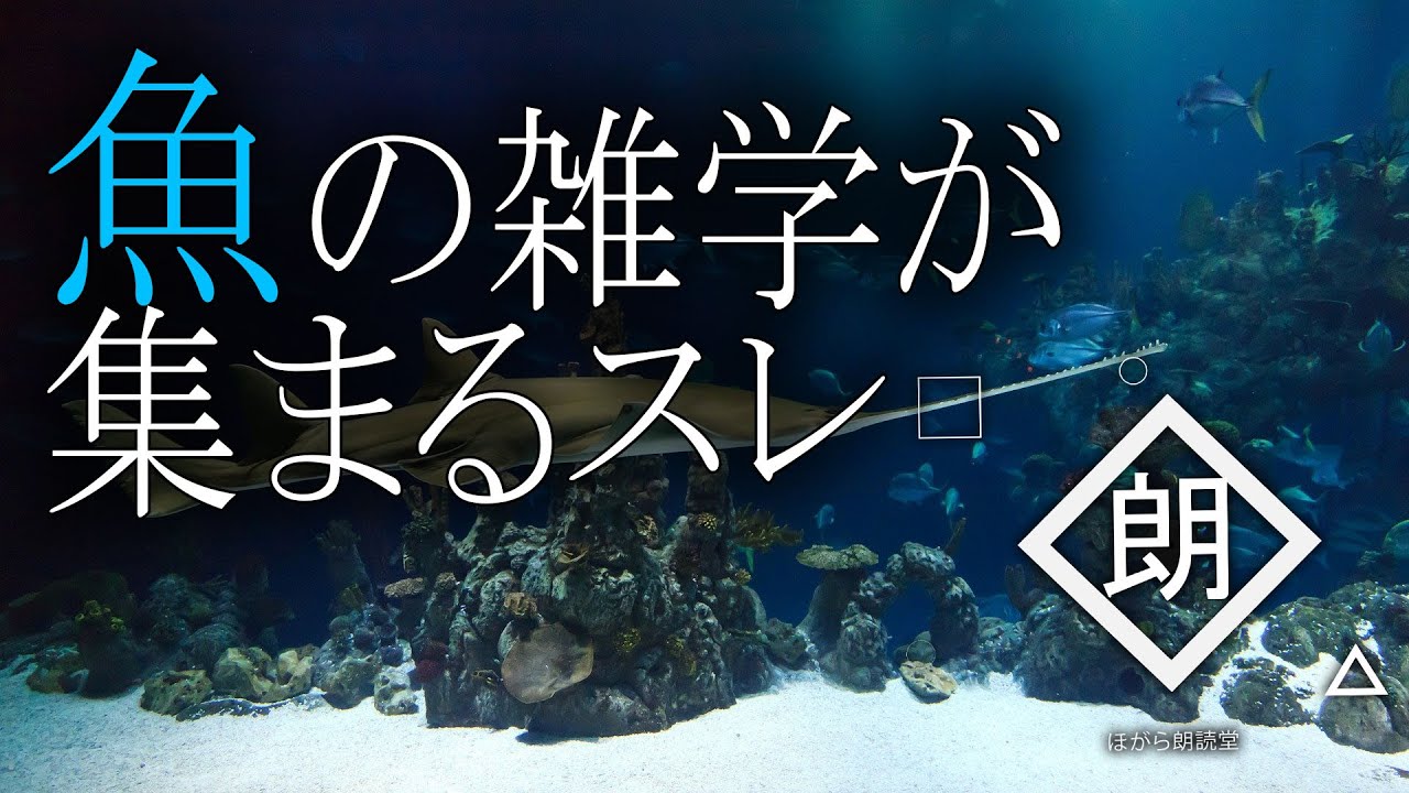【朗読】魚の雑学