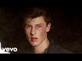 Shawn Mendes - Stitches (Tradução Clipe Oficial ᴴᴰ)