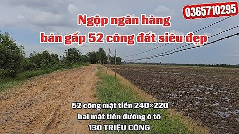 52 công đất đẹp tuyệt vời  đường ô tô xã tân Hiệp huyện Thạnh Hóa Long An 130 triệu công