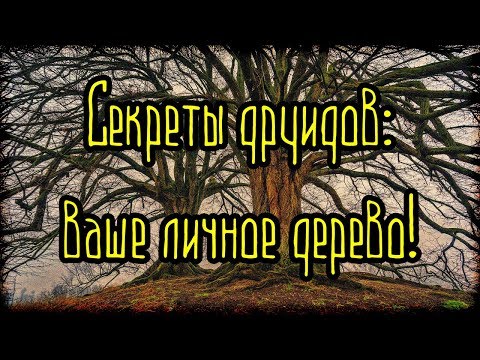 ГОРОСКОП ДРУИДОВ! Секреты друидов - ваше личное дерево! (Легенды и мифы)