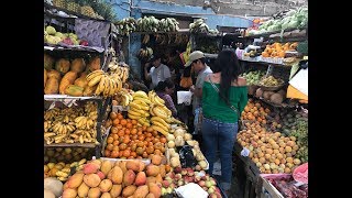 Exploring The Central Market In Pisco Peru