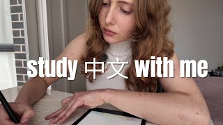 Study Chinese with me | vocab | flashcards | HSK