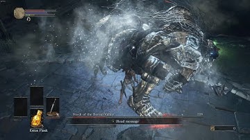 SL1 Vordt of the Boreal Valley (No rolling, blocking, parrying or taking damage)