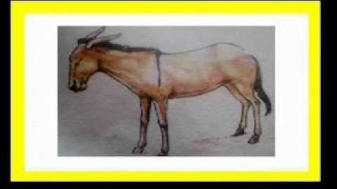 learning sindhi lesson 22سنڌي پهريون ڪتاب سبق