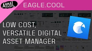 Intro to Eagle Asset Manager screenshot 5