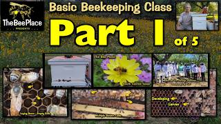Beekeeping 101 – The Basics (1 of 5): Equipment & Setup