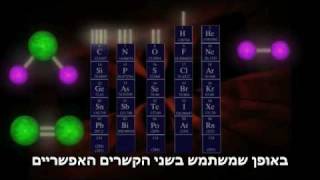 Carbohydrates hebrew sub