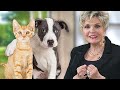 Spiritual Truths We Can Learn... From Our Pets! | Dr. Clarice Fluitt | Wisdom to Win