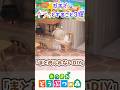 【あつ森】ガチでイラッとすること3選 #あつまれどうぶつの森 #どうぶつの森 #animalcrossing
