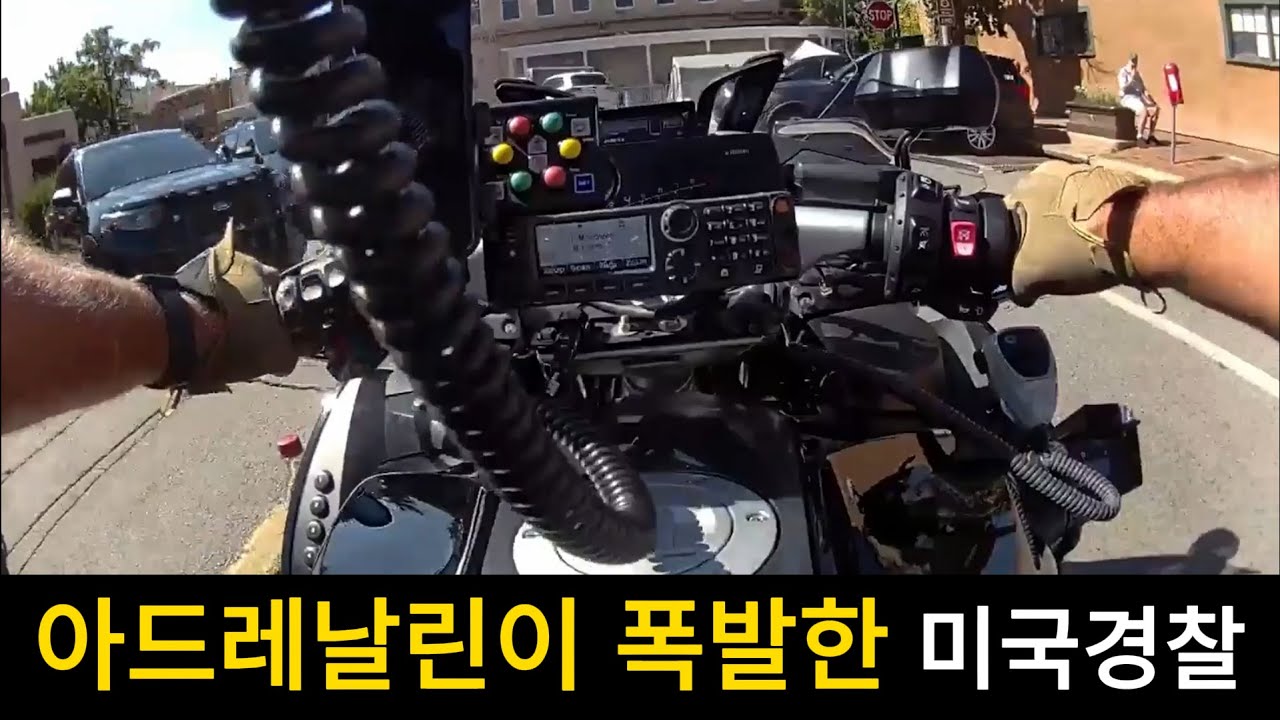 Почему мы перестаем убегать, когда появляется псих?