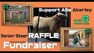 Allie Akerley -Youth Agriculture Student Extrordinaire! #agriculture #classof2026 #miracle #farming