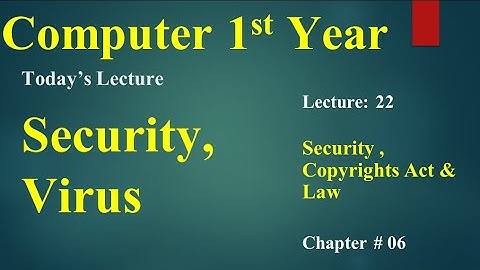 computer 1st year chapter no 06 lecture no 22 Security and Virus