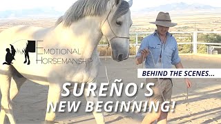 SUREÑO'S NEW BEGINNING (Behind the scenes...)