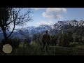 RDR 2 LIVE (Portrait)