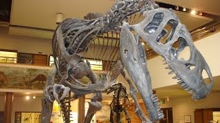 Dinosaur George #170