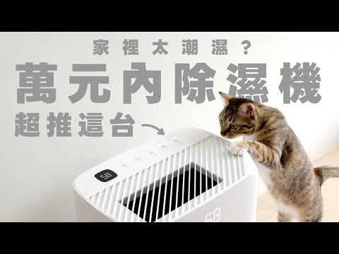 萬元內除濕機超推這台!「白立方除濕機」好看又高效除濕!16L 超大除濕量,30 分鐘恢復乾燥|塔科女子 ft. 日本山水 SANSUI