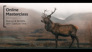 Online Masterclass | Nature & Wildlife with Capture One