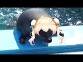 【Vtuber廢片】Cute Nene Seal trying to get out of pool. 差點爬不上來的海豹【桃鈴ねね/MomosuzuNene】【meme】