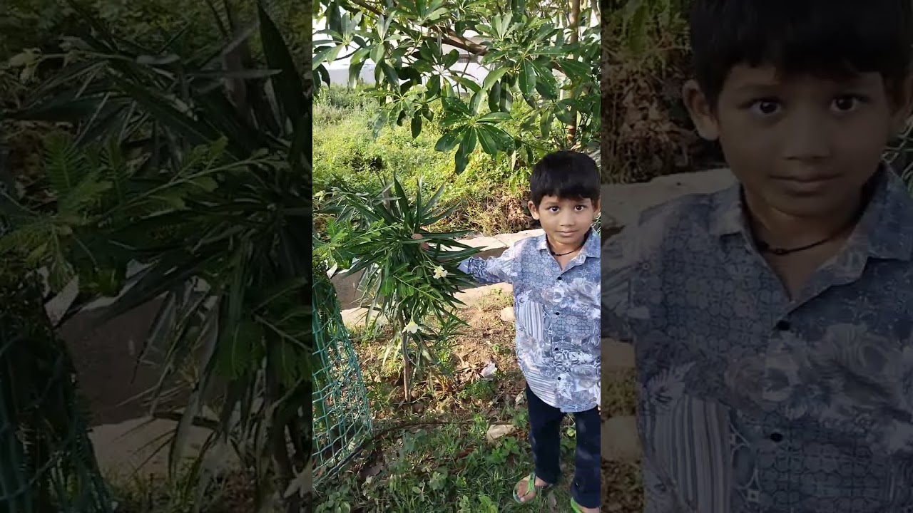 My cute son shows the Plant of Neerium Odoram. Neerium
