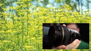 Finally getting out there with the EF 85mm f1.8 | Canon M50 and M100 screenshot 4