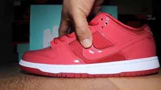 Whats in your box Ruby Red Slipper Nike SB