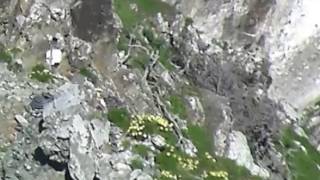 3-9-17 Switch At West End