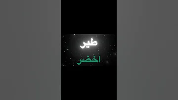 طير اخضر طير مقربع 