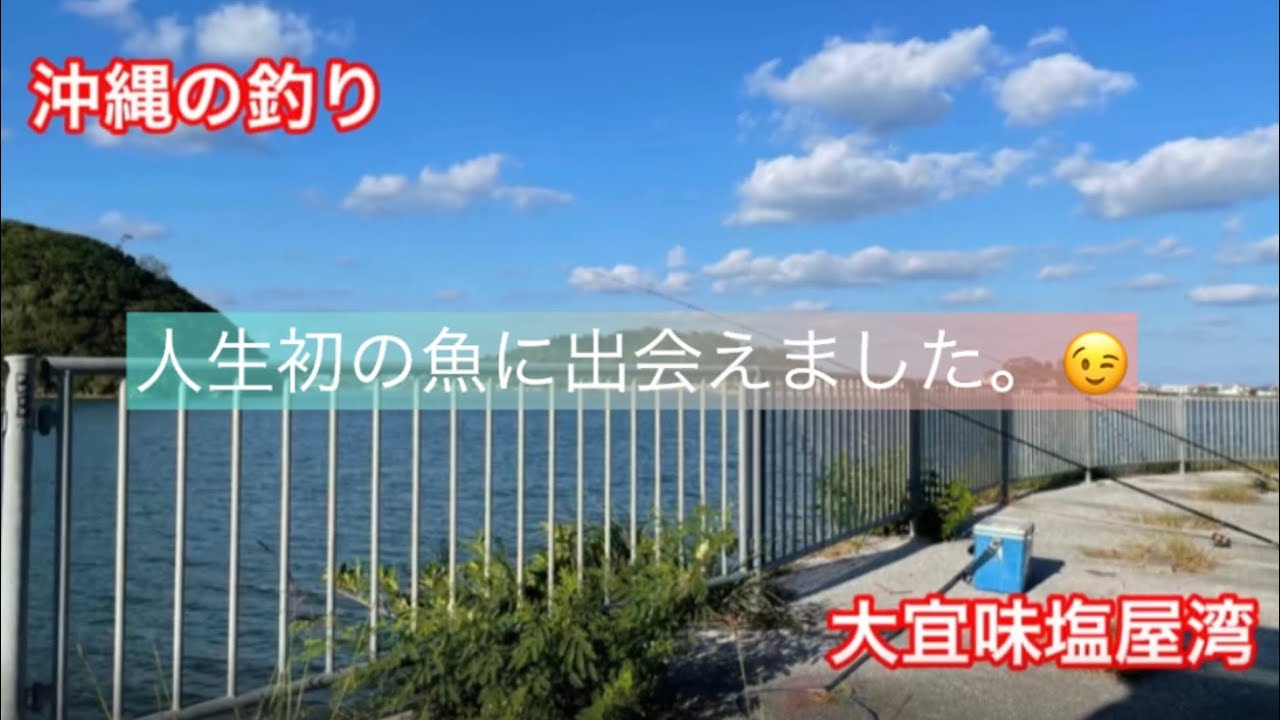 沖縄の釣り（大宜味村塩屋湾）2023年10月14日