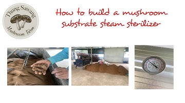 How to build a mushroom substrate steam sterilizer