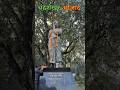 Bhakti sirf Inki! #trendingreels #shorts #voralshort #chandrashekharazad #prayagraj #youthvoice