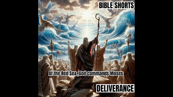 The Miraculous Parting of the Red Sea - Exodus 14 #shorts #god #motivation  #bibleverse #biblestudy