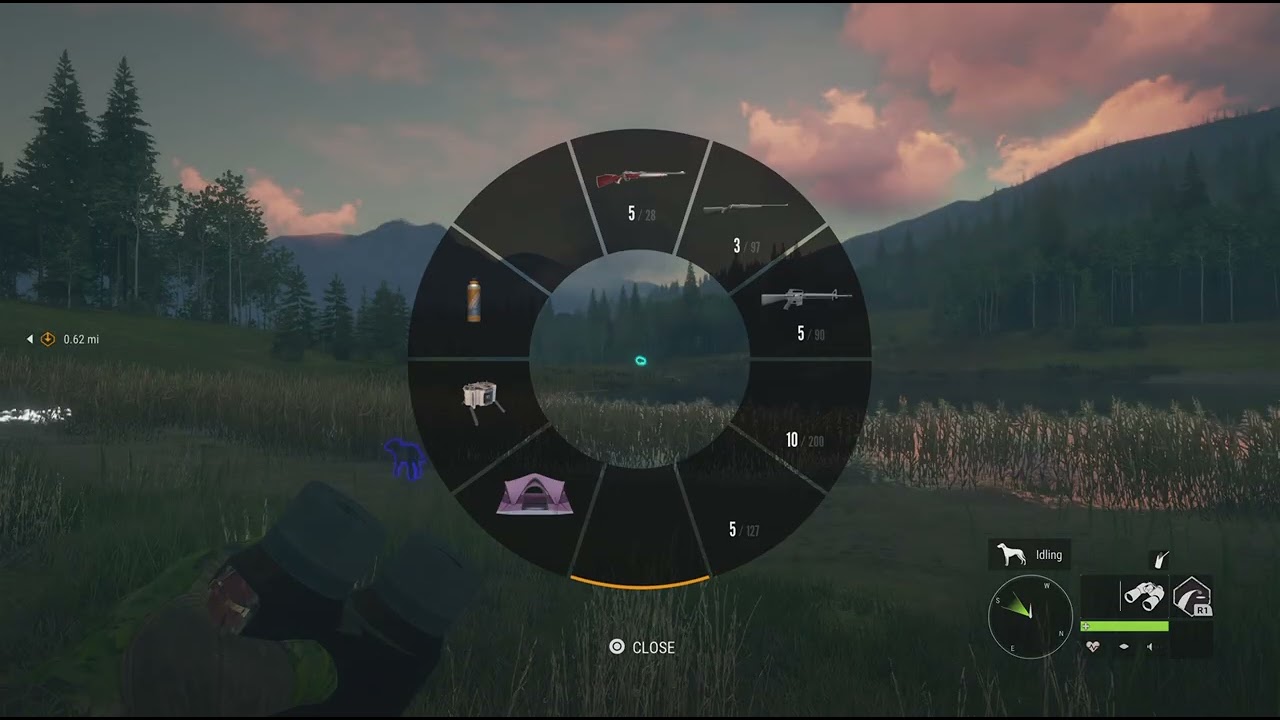 Having fun with iron sights