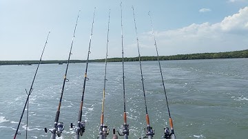 Câu cá đêm | Trải nghiệm của cần thủ mới | Sông Nước Cần Giờ - Châu Huỳnh.