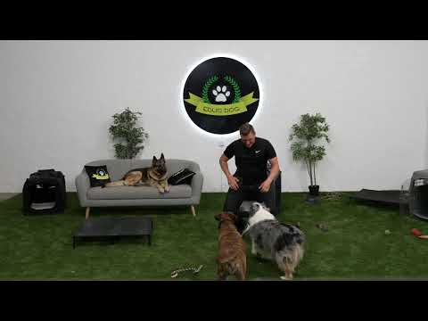 La Méthode P.O.S.A - Masterclass ce soir à 20h - La Méthode P.O.S.A - Masterclass ce soir à 20h