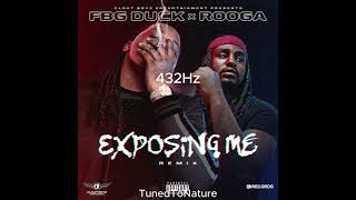 Fbg Duck x Rooga Exposing Me Remix (432Hz)