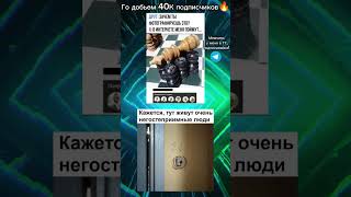 ТГ с мемчиками в описании #мемы #жиза #тикток #ржака #прикол #рек #shorts #memes #fyp #youtube