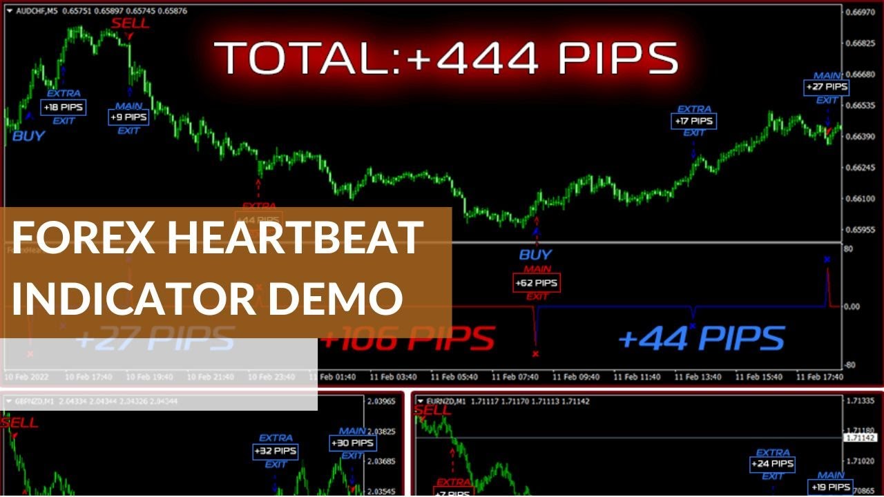 Forex Heartbeat Indicator Software Demo YouTube
