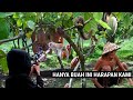 HANYA HASIL KEBUN HARAPAN WARGA KETIKA MUSIM SEKARANG INI