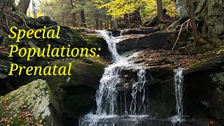 YTT Assignment - Special Populations - Prenatal